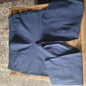Womens Banana Republic Navy Blue Dress Pants Size 18